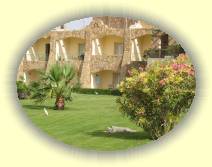 IMG_2007_05_31 11_54_51 * 2272 x 1704 * (733KB)